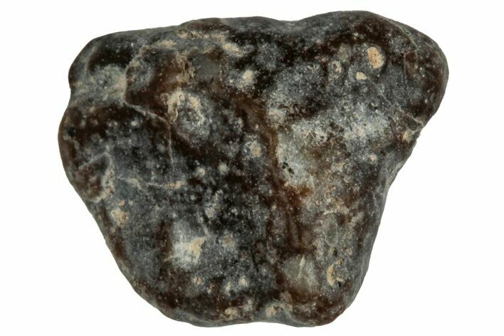 Lunar Meteorite ( g) - NWA #304881